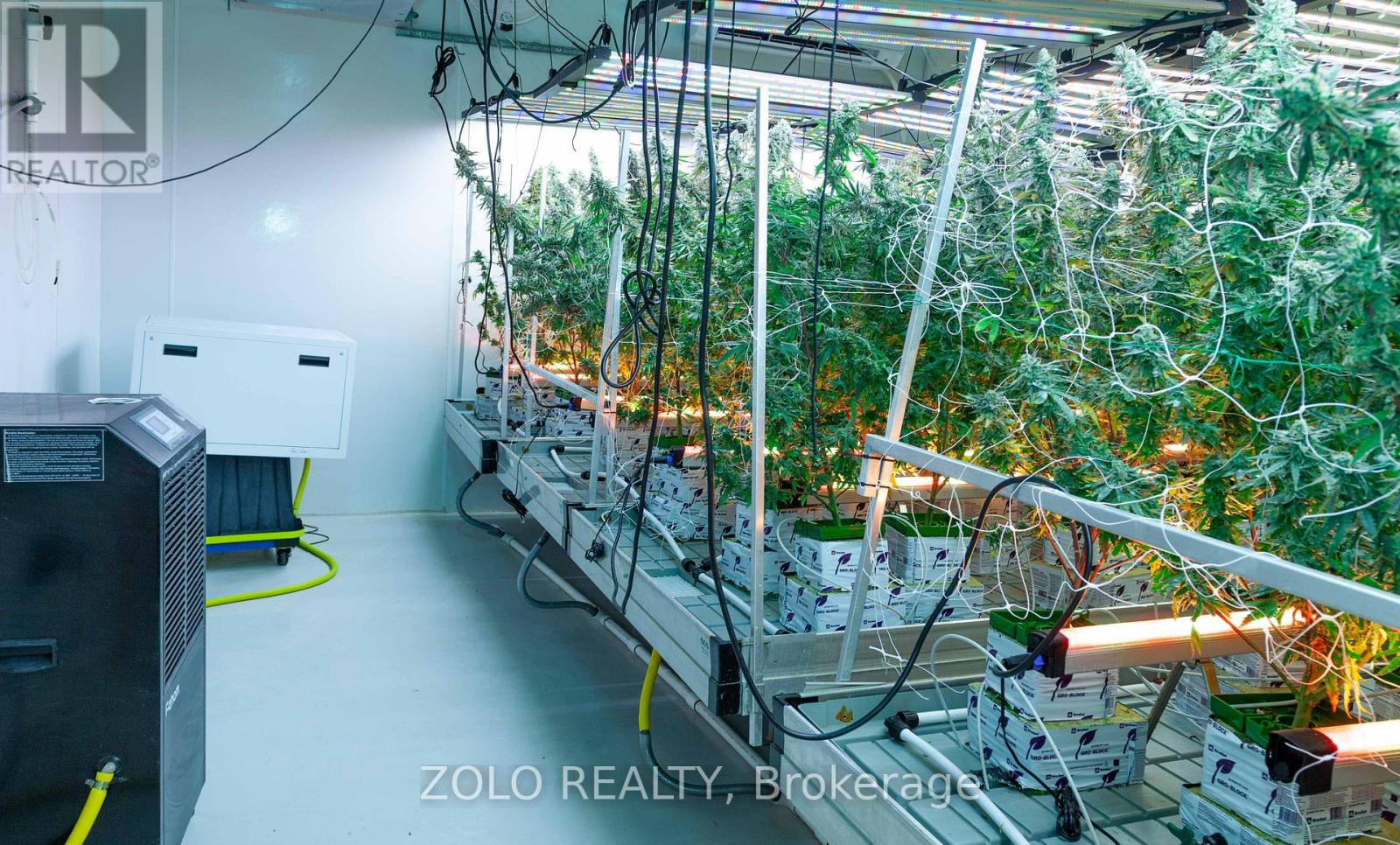 380 Hardy Road, Brantford, Ontario  N3T 5L8 - Photo 13 - X12826918