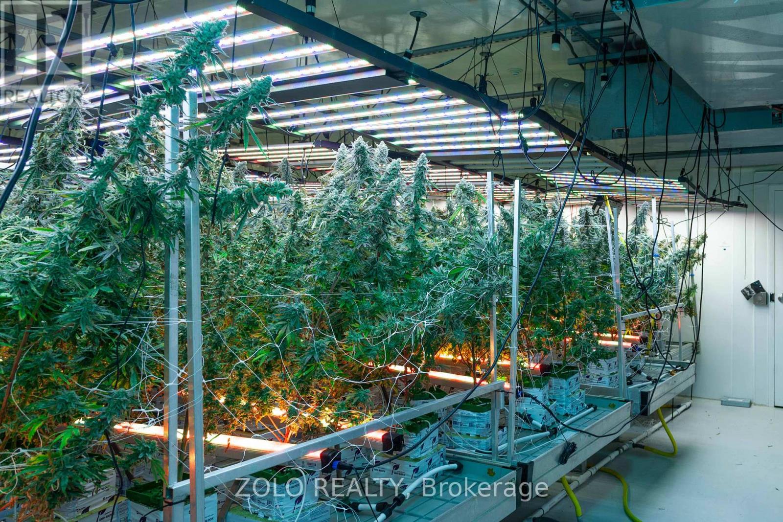 380 Hardy Road, Brantford, Ontario  N3T 5L8 - Photo 14 - X12826918