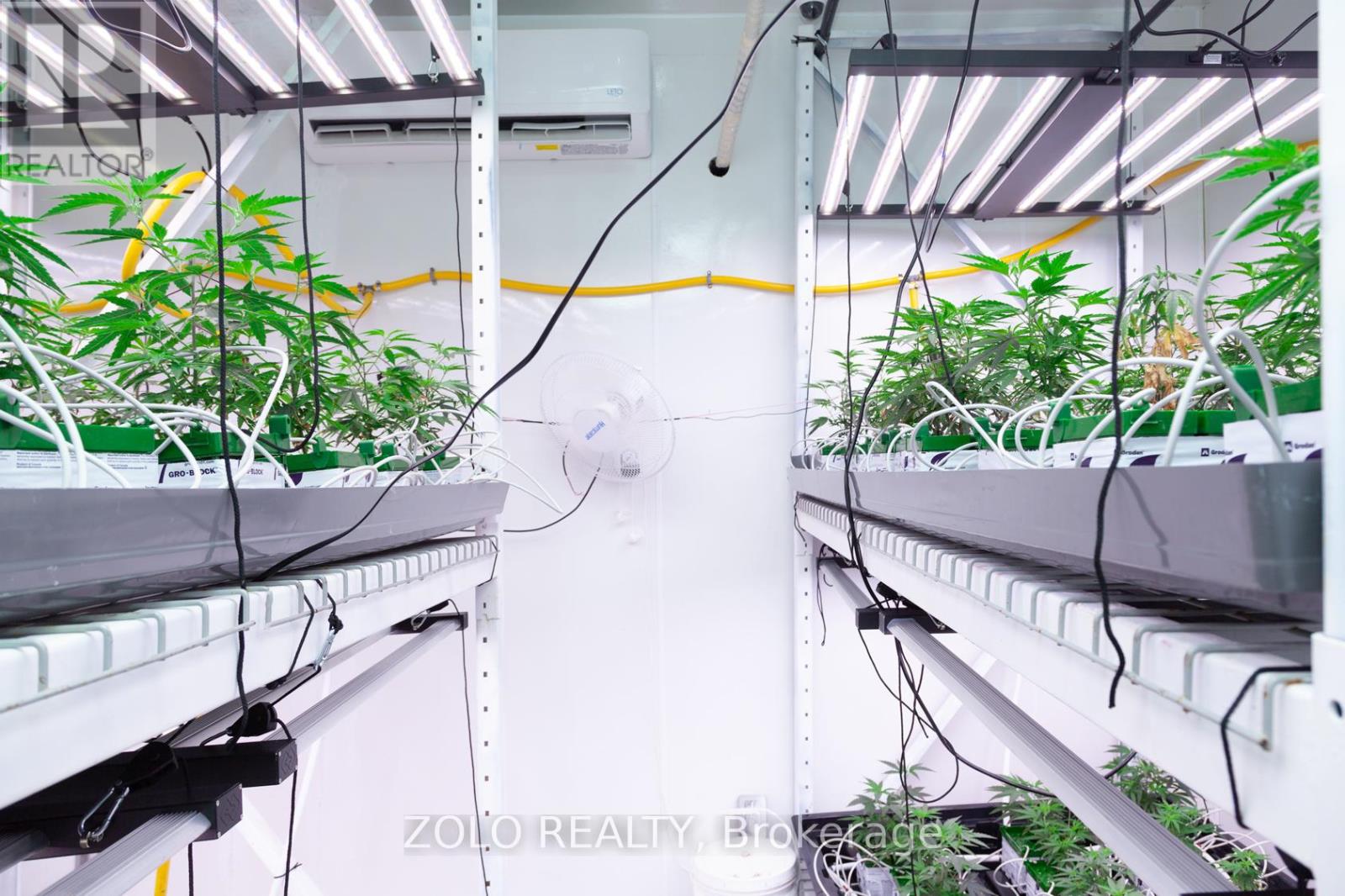 380 Hardy Road, Brantford, Ontario  N3T 5L8 - Photo 9 - X12826918