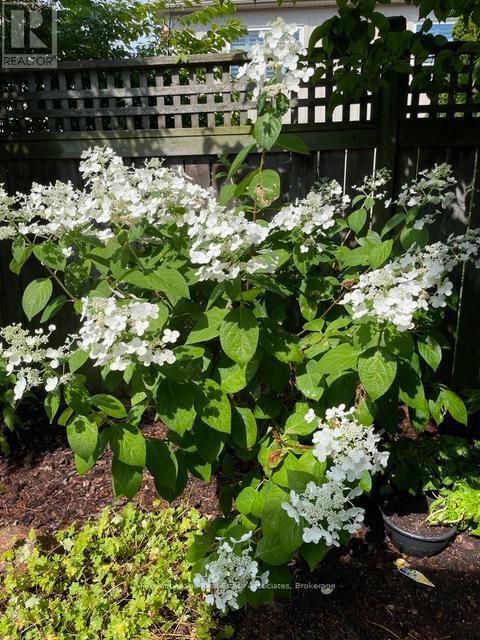 140 Fellowes Crescent, Hamilton, Ontario  L0R 2H3 - Photo 40 - X12822710