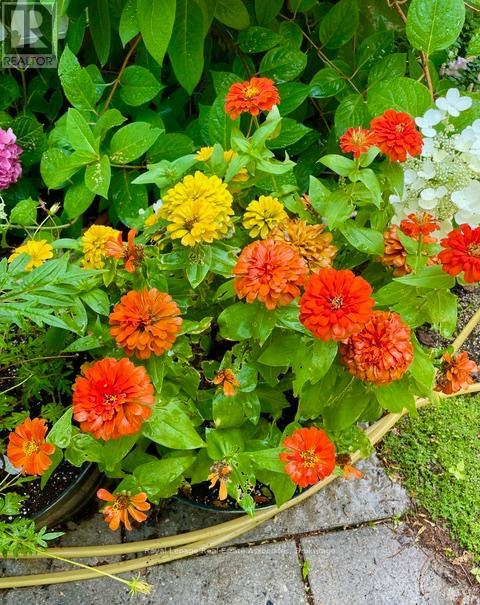 140 Fellowes Crescent, Hamilton, Ontario  L0R 2H3 - Photo 38 - X12822710