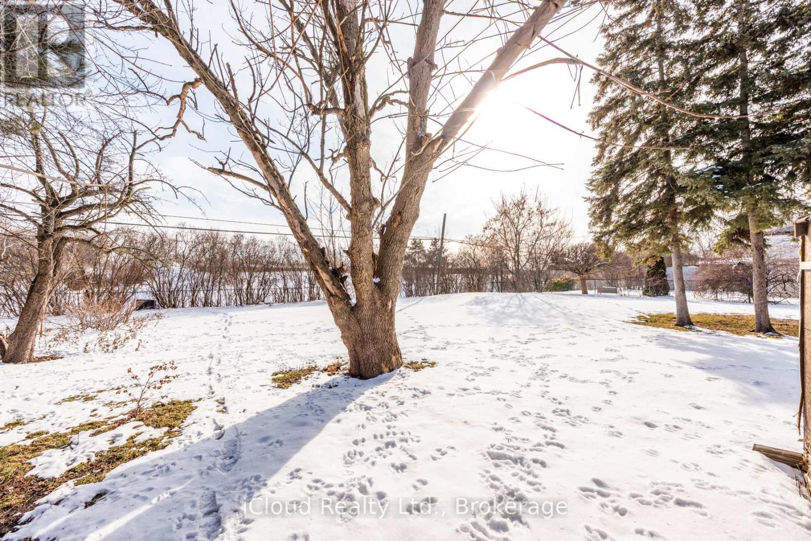 105 Avondale Boulevard, Brampton, Ontario  L6T 1H5 - Photo 47 - W12827120