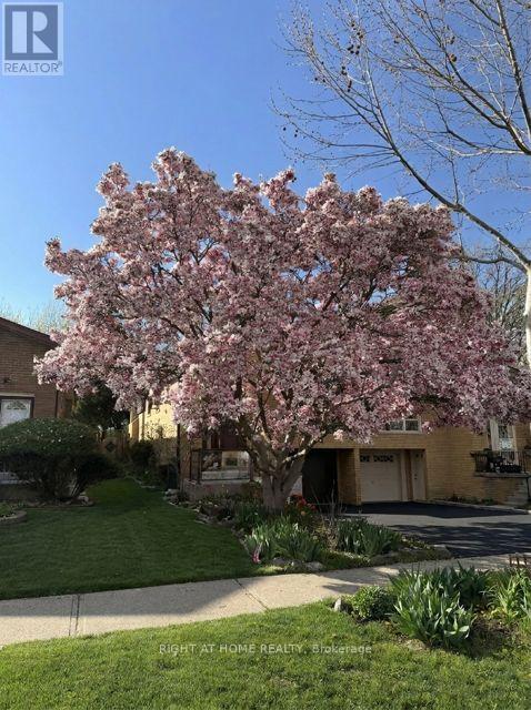 2814 Windjammer Road, Mississauga, Ontario  L5L 1T7 - Photo 39 - W12826670