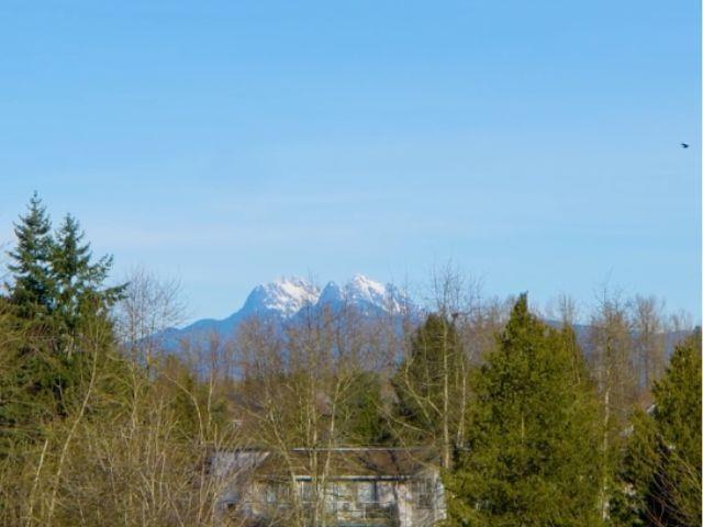 460 27358 32 Avenue, Langley, British Columbia  V4W 3M5 - Photo 30 - R3080313