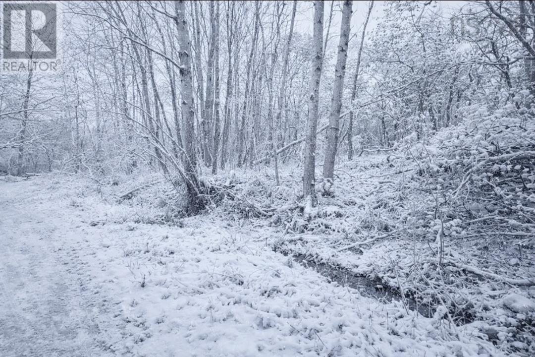 Lot 2 Brook Street, Trenton, Nova Scotia B0K 1X0 - Photo 2 - 202512980