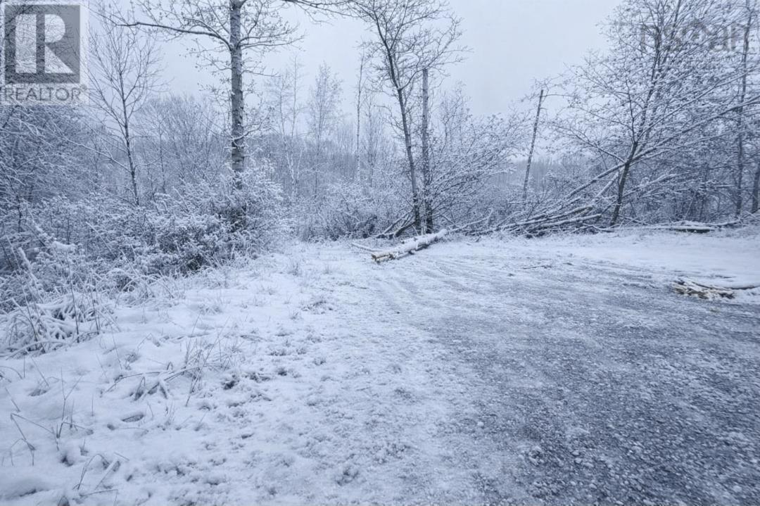 Lot 2 Brook Street, Trenton, Nova Scotia B0K 1X0 - Photo 1 - 202512980