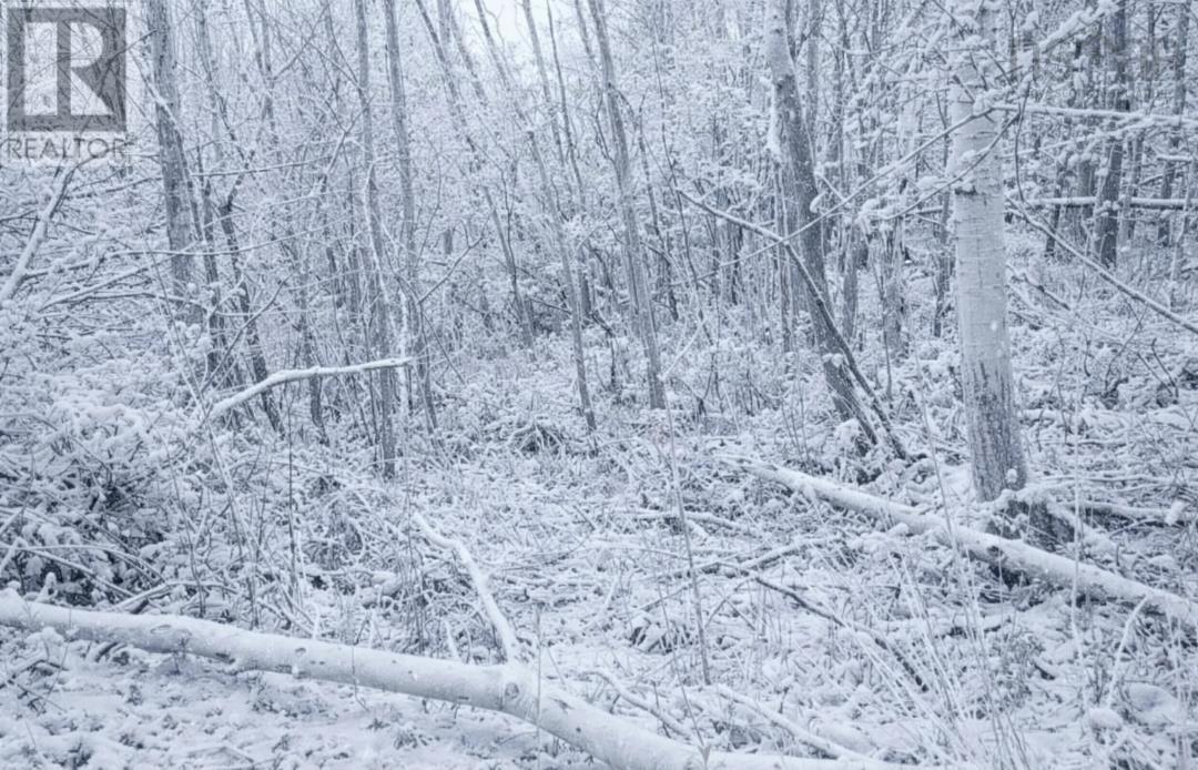 Lot 2 Brook Street, Trenton, Nova Scotia B0K 1X0 - Photo 3 - 202512980