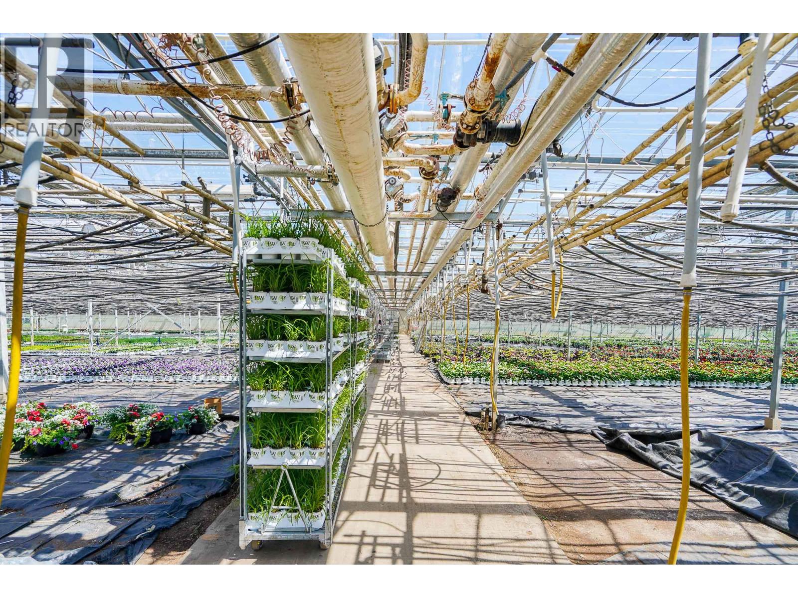 12310-12336 240 Street, Maple Ridge, British Columbia  V4R 1N1 - Photo 10 - R3092703