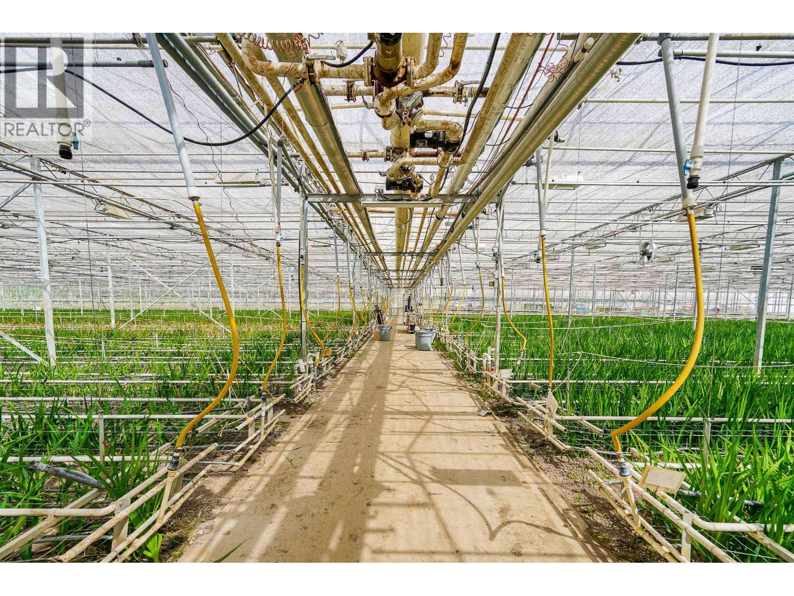 12310-12336 240 Street, Maple Ridge, British Columbia  V4R 1N1 - Photo 15 - R3092703