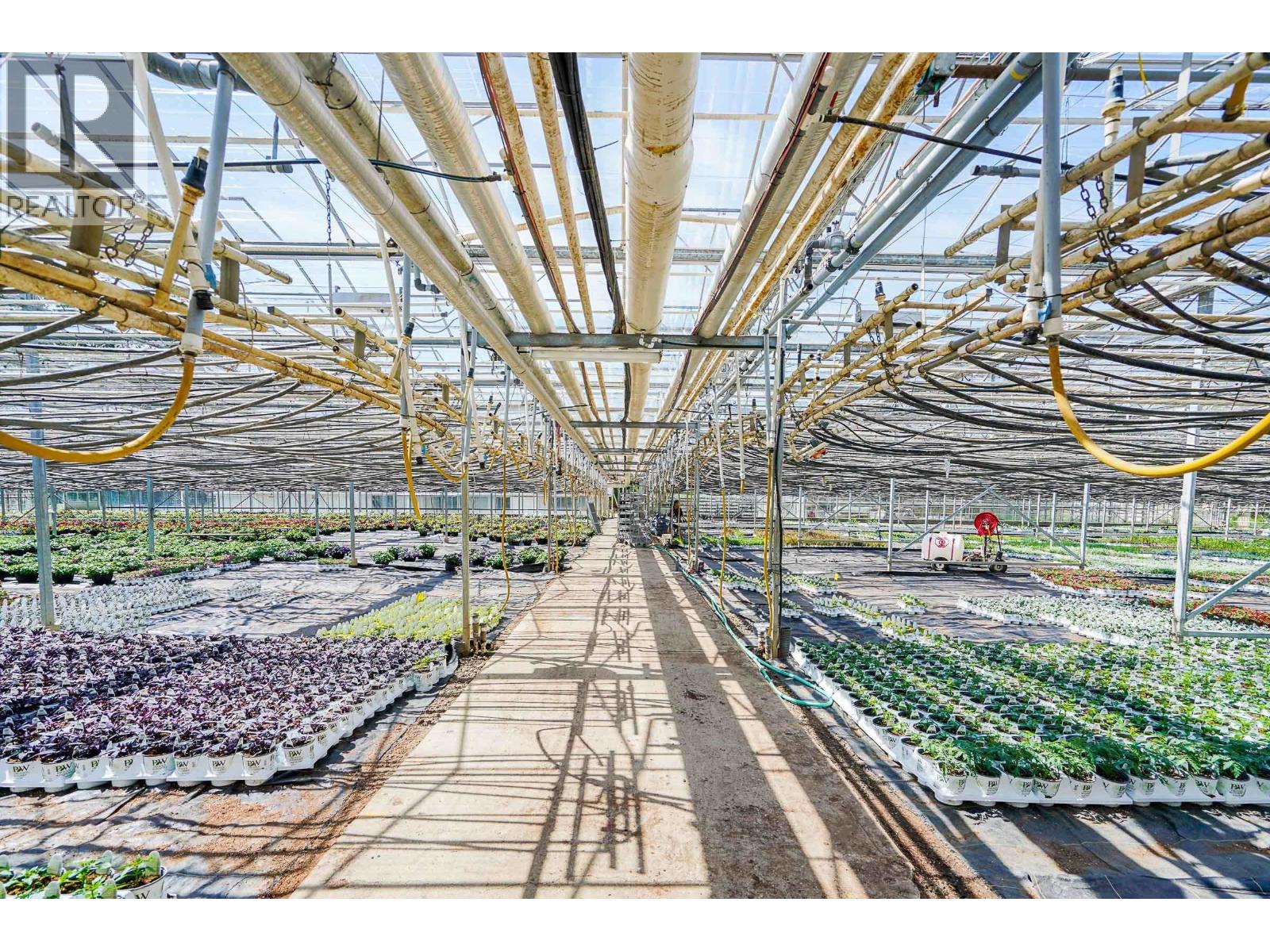 12310-12336 240 Street, Maple Ridge, British Columbia  V4R 1N1 - Photo 14 - R3092703