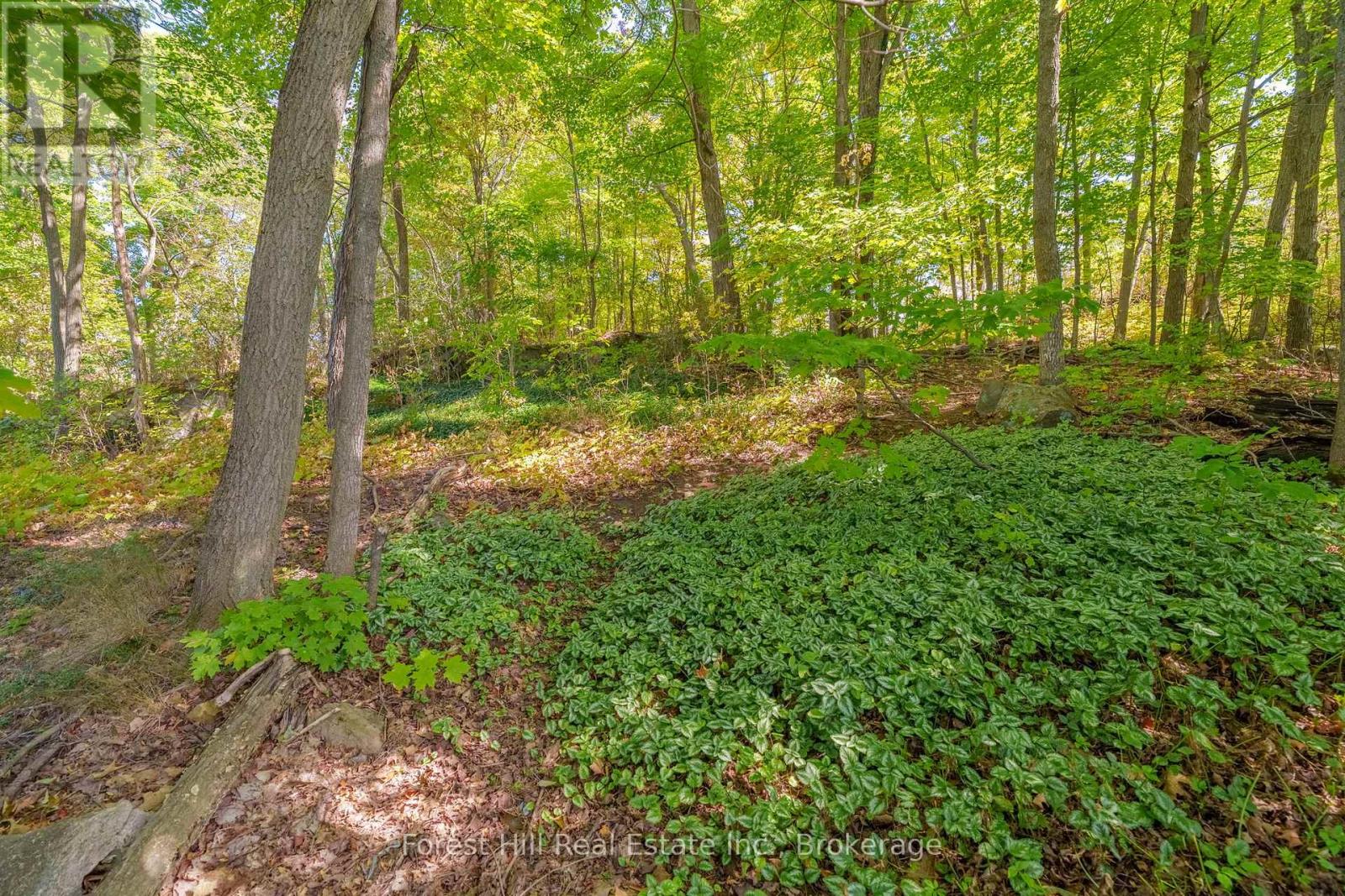 1 Maplecrest Court, Huntsville, Ontario P1H 1G2 - Photo 42 - X12827366