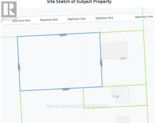 1019 Seymour Avenue, Fort Erie, Ontario  L2A 6H2 - Photo 16 - X12827464