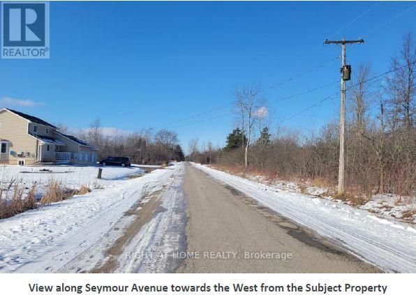 1019 Seymour Avenue, Fort Erie, Ontario  L2A 6H2 - Photo 8 - X12827464