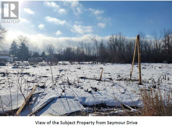 1019 Seymour Avenue, Fort Erie, Ontario  L2A 6H2 - Photo 9 - X12827464
