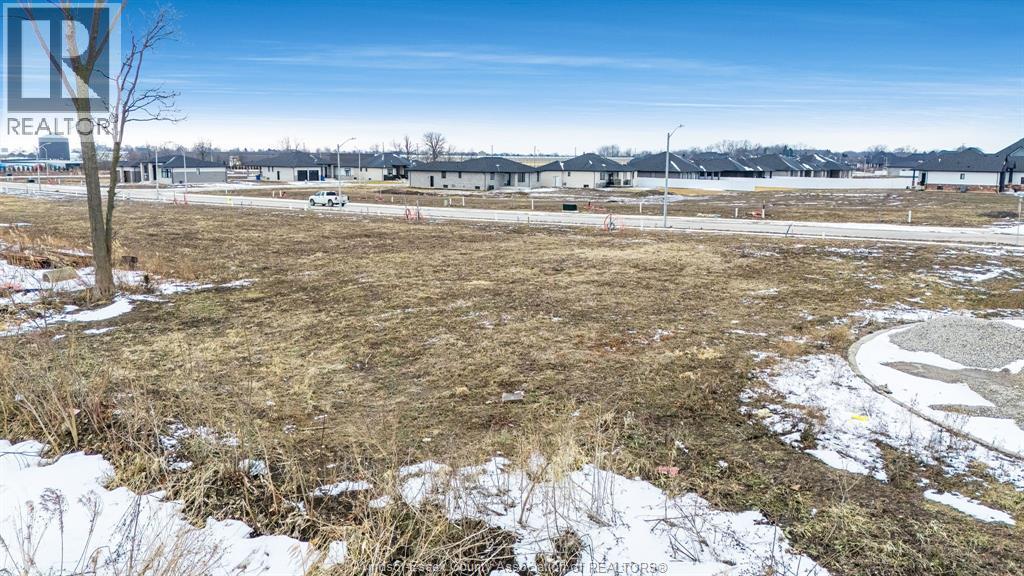 1876 Molise Boulevard, Kingsville, Ontario N0P 2G0 - Photo 18 - 26004015