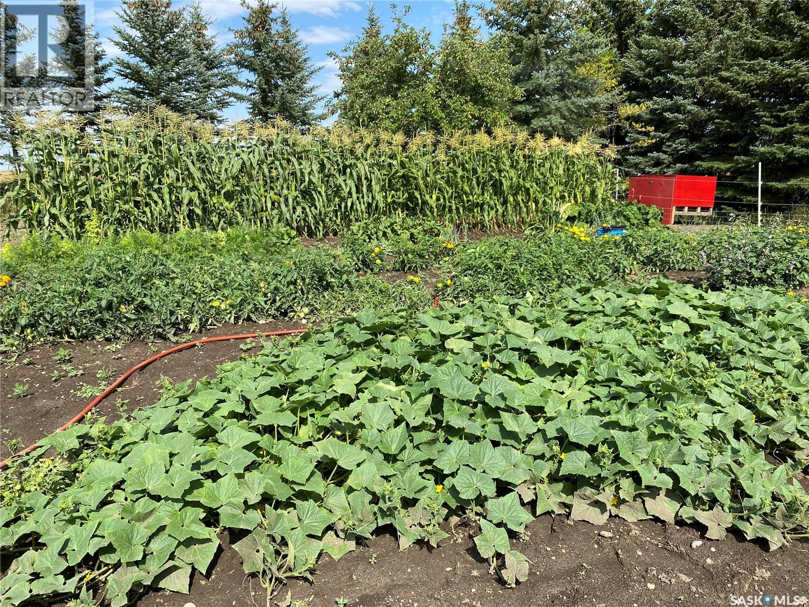 . Railway Avenue, Gladmar, Saskatchewan  S0C 1A0 - Photo 50 - SK029098