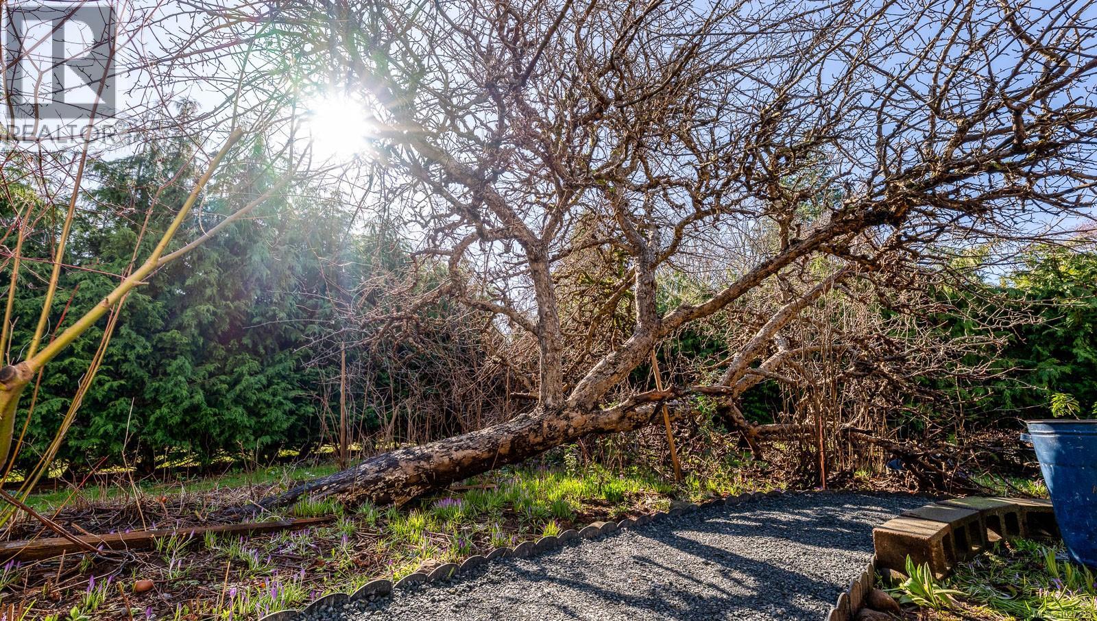 2897 Poplar Dr, Courtenay, British Columbia  V9N 6A9 - Photo 11 - 1027223