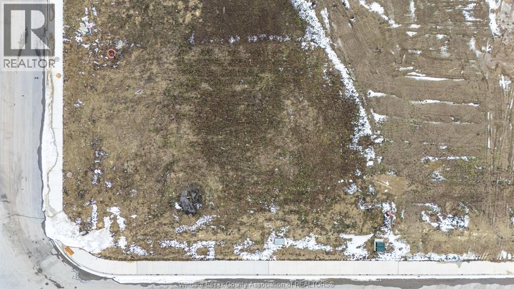 1875 Molise Boulevard, Kingsville, Ontario  N0P 2G0 - Photo 20 - 26004002