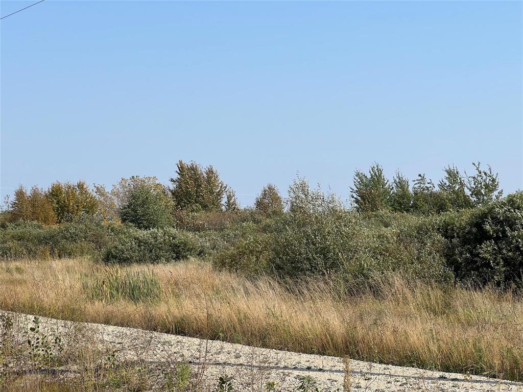 0 Curtis Lane, La Broquerie, Manitoba R0A 0W2 - Photo 1 - 202603484