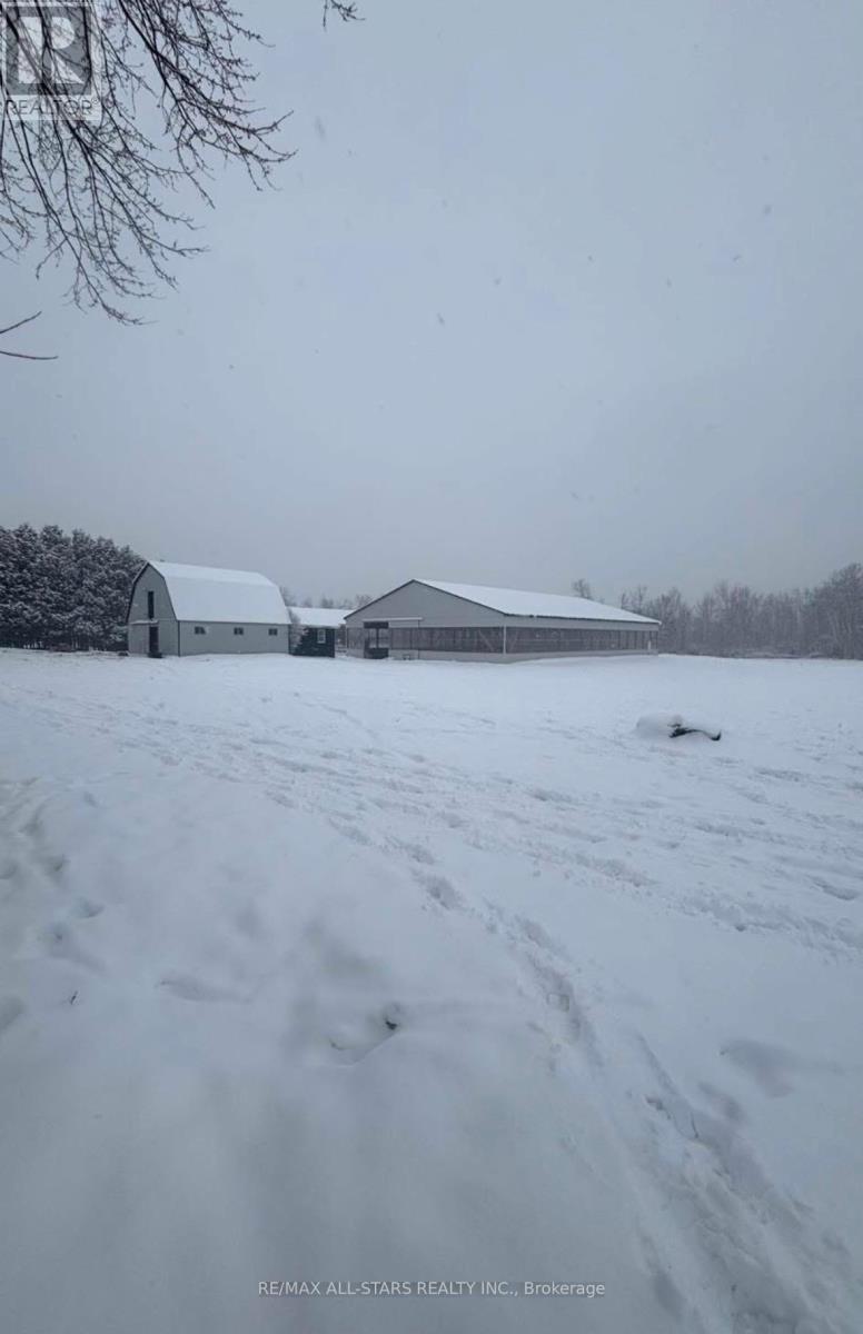 375 Ogemah Road, Kawartha Lakes, Ontario  K0M 2C0 - Photo 33 - X12827528