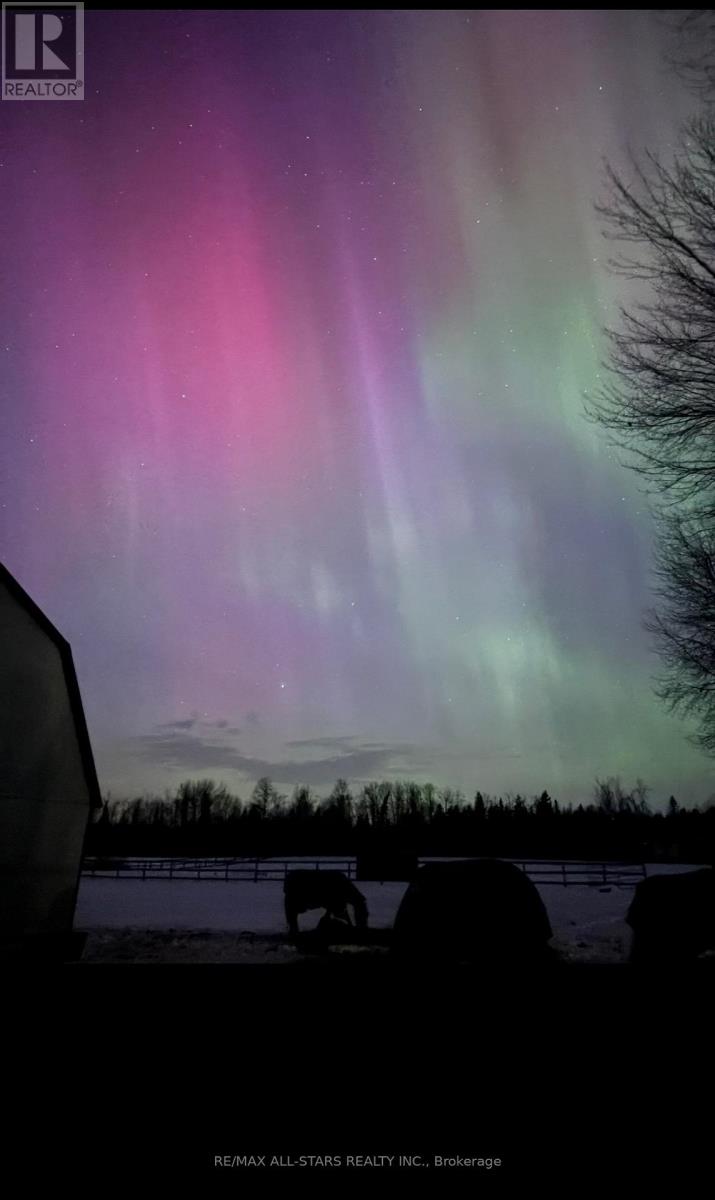 375 Ogemah Road, Kawartha Lakes, Ontario  K0M 2C0 - Photo 35 - X12827528