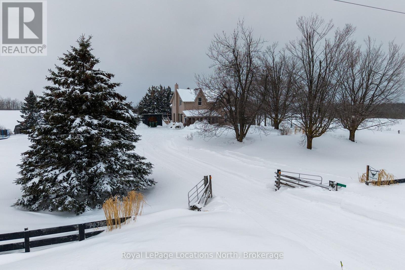 793952 124 Grey Road, Grey Highlands, Ontario  N0C 1M0 - Photo 41 - X12827646