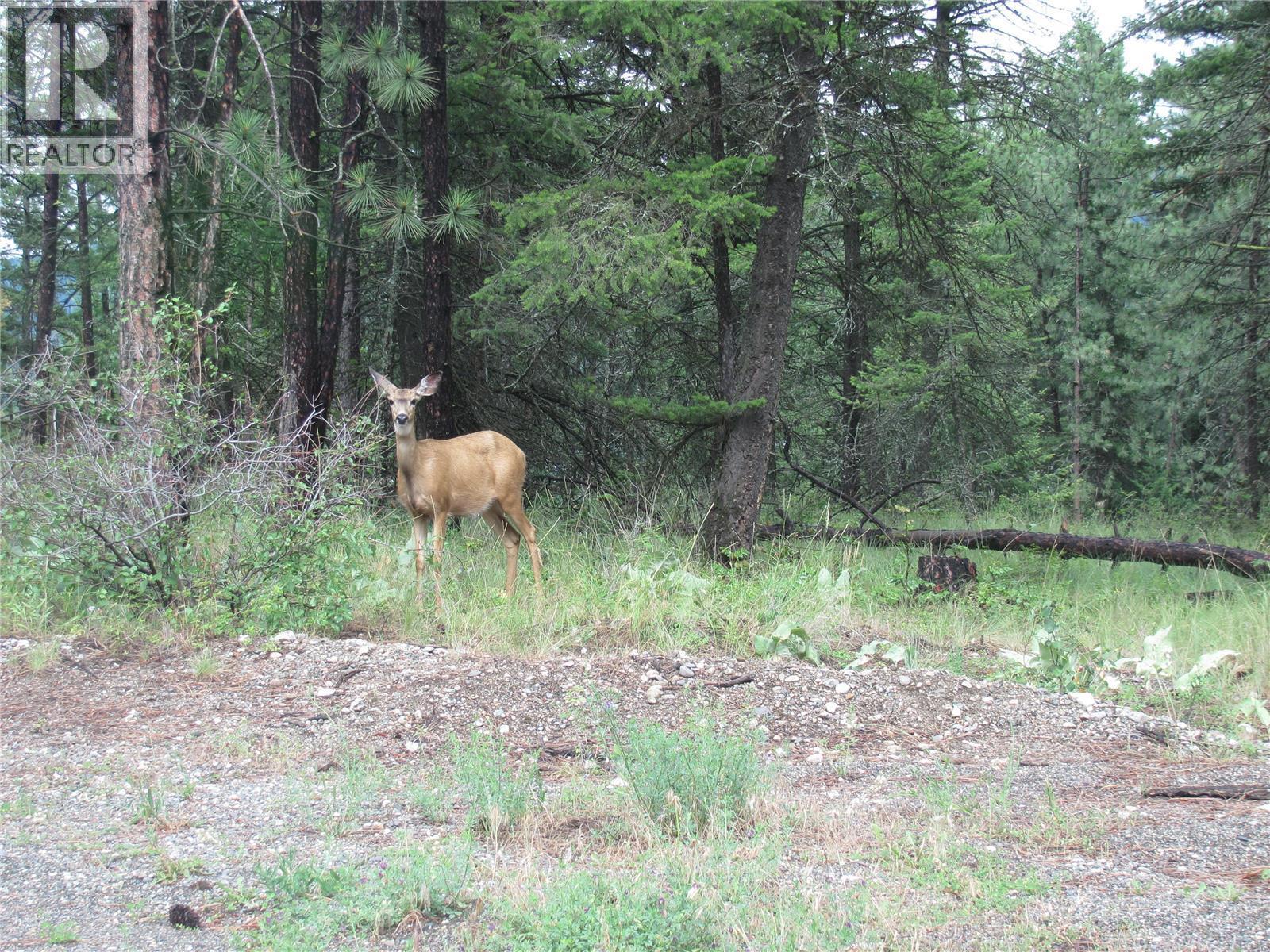 680 Fairbridge Road, Fintry, British Columbia  V1Z 3W1 - Photo 2 - 10318351