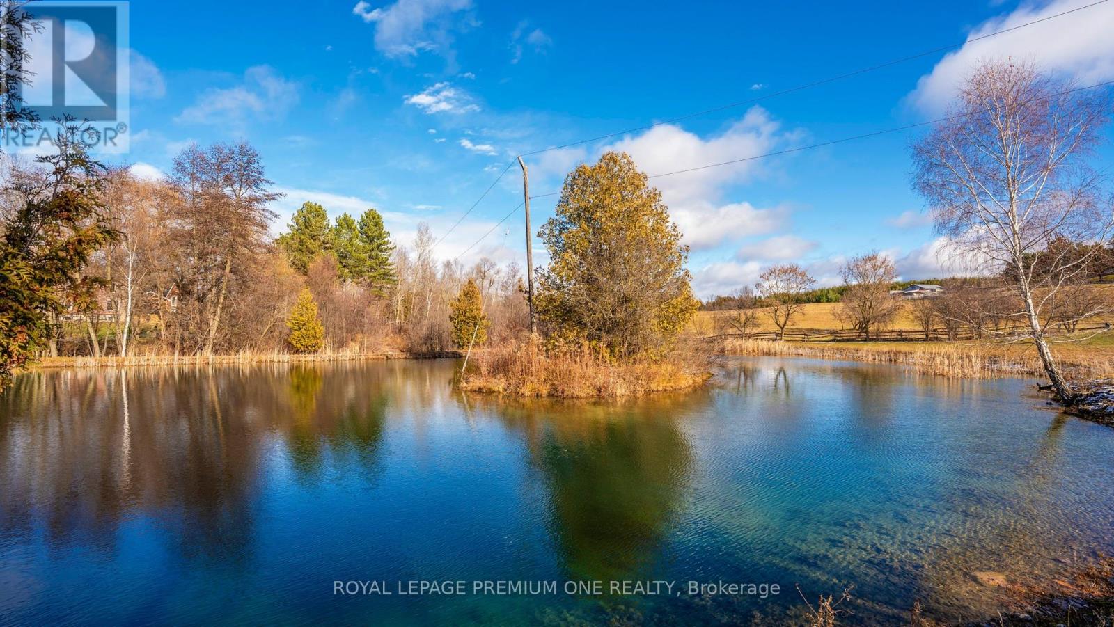 7590 19th Side Road, King, Ontario  L0G 1T0 - Photo 50 - N12826212
