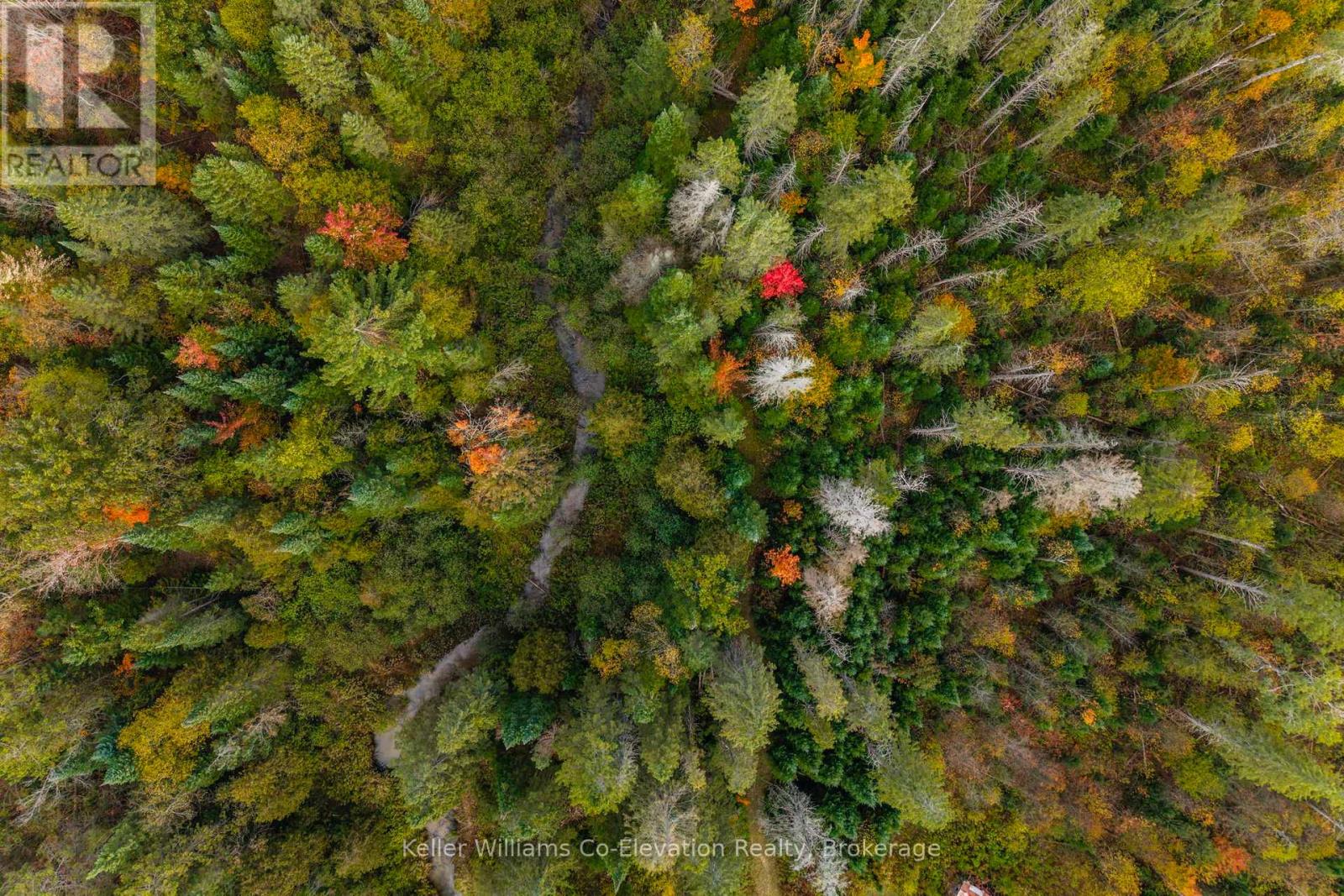 1076 Beaver Lane, Springwater, Ontario  L9X 0M1 - Photo 49 - S12812568