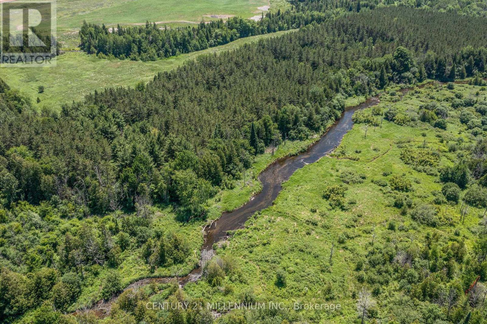 41 Pine Ridge Road, Erin, Ontario  N0B 1T0 - Photo 49 - X12827734