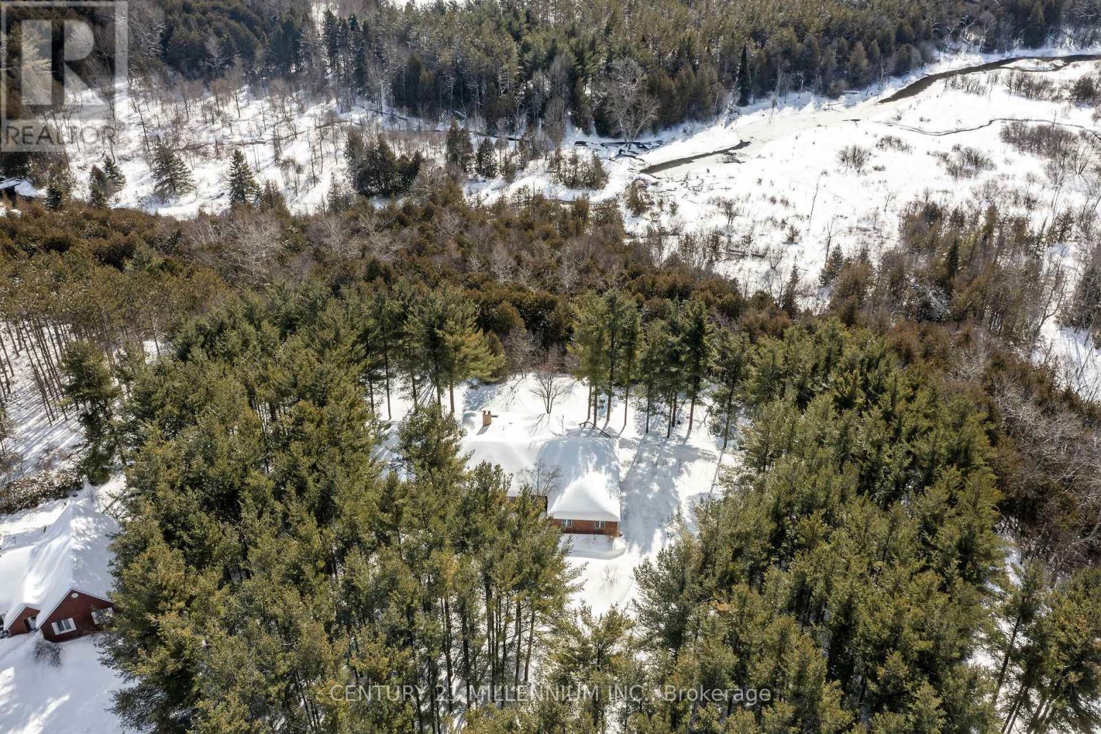 41 Pine Ridge Road, Erin, Ontario  N0B 1T0 - Photo 5 - X12827734