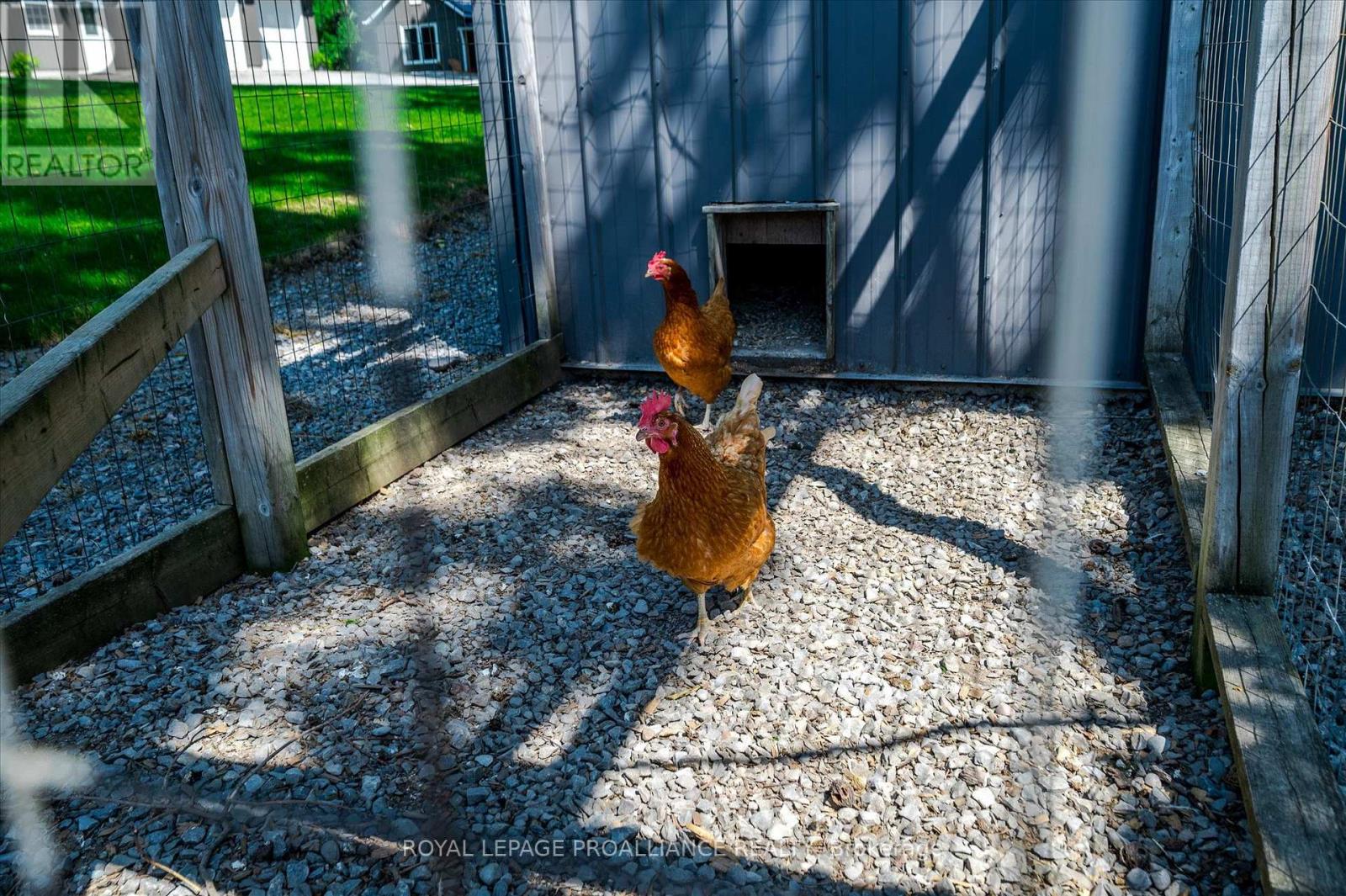 831 Bland Line, Cavan Monaghan, Ontario  L0A 1C0 - Photo 49 - X12827768