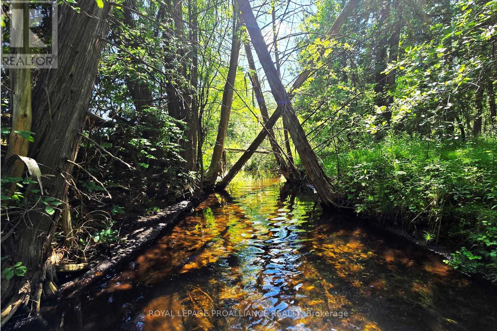 831 Bland Line, Cavan Monaghan, Ontario  L0A 1C0 - Photo 8 - X12827768