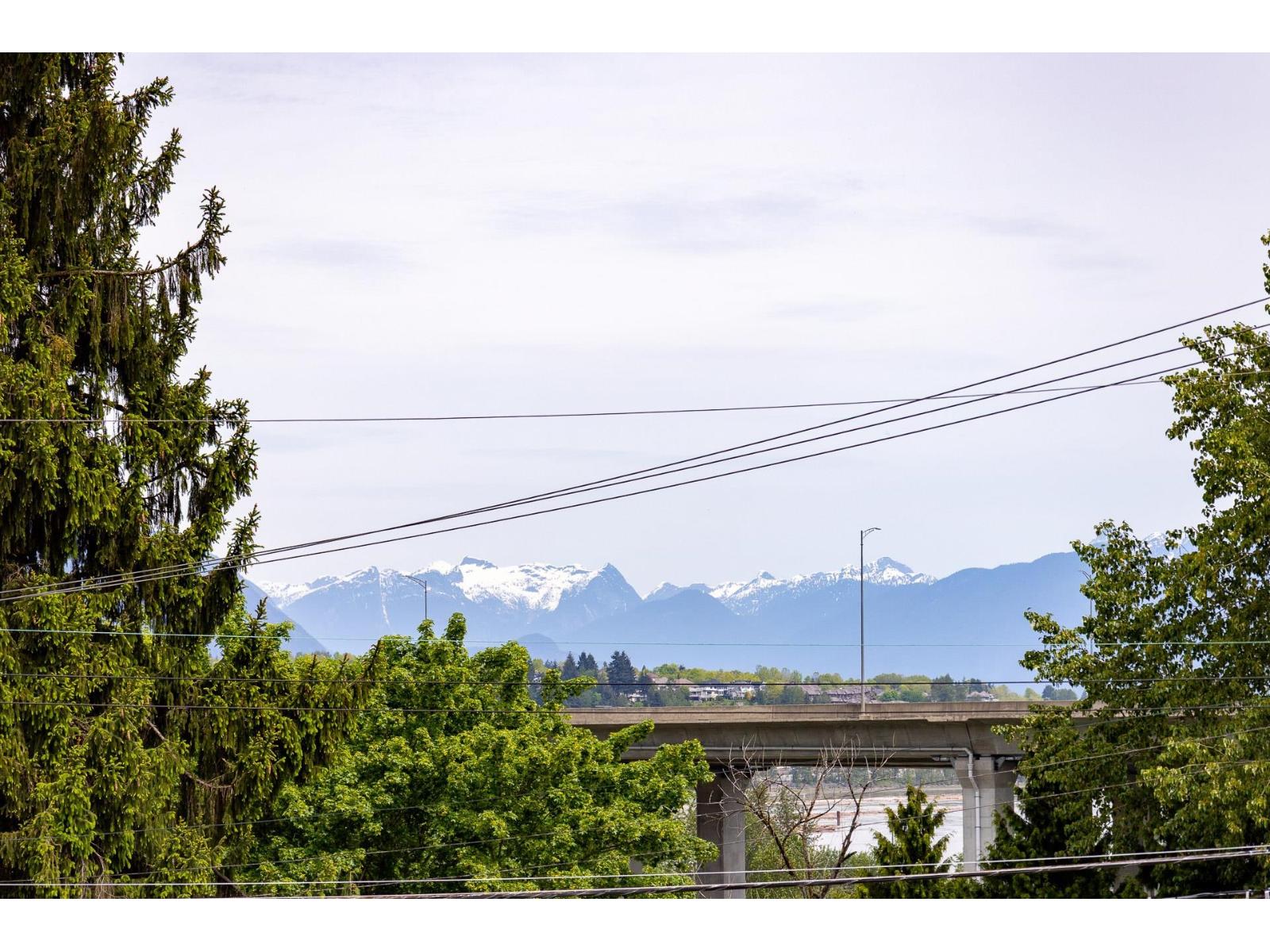 11441 Surrey Road, Surrey, British Columbia  V3R 5T4 - Photo 4 - R3055479