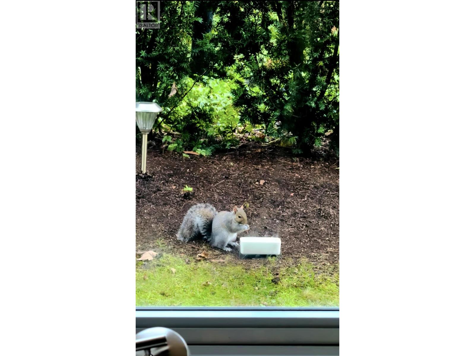 110 5728 Berton Avenue, Vancouver, British Columbia  V6S 0E5 - Photo 6 - R3094017