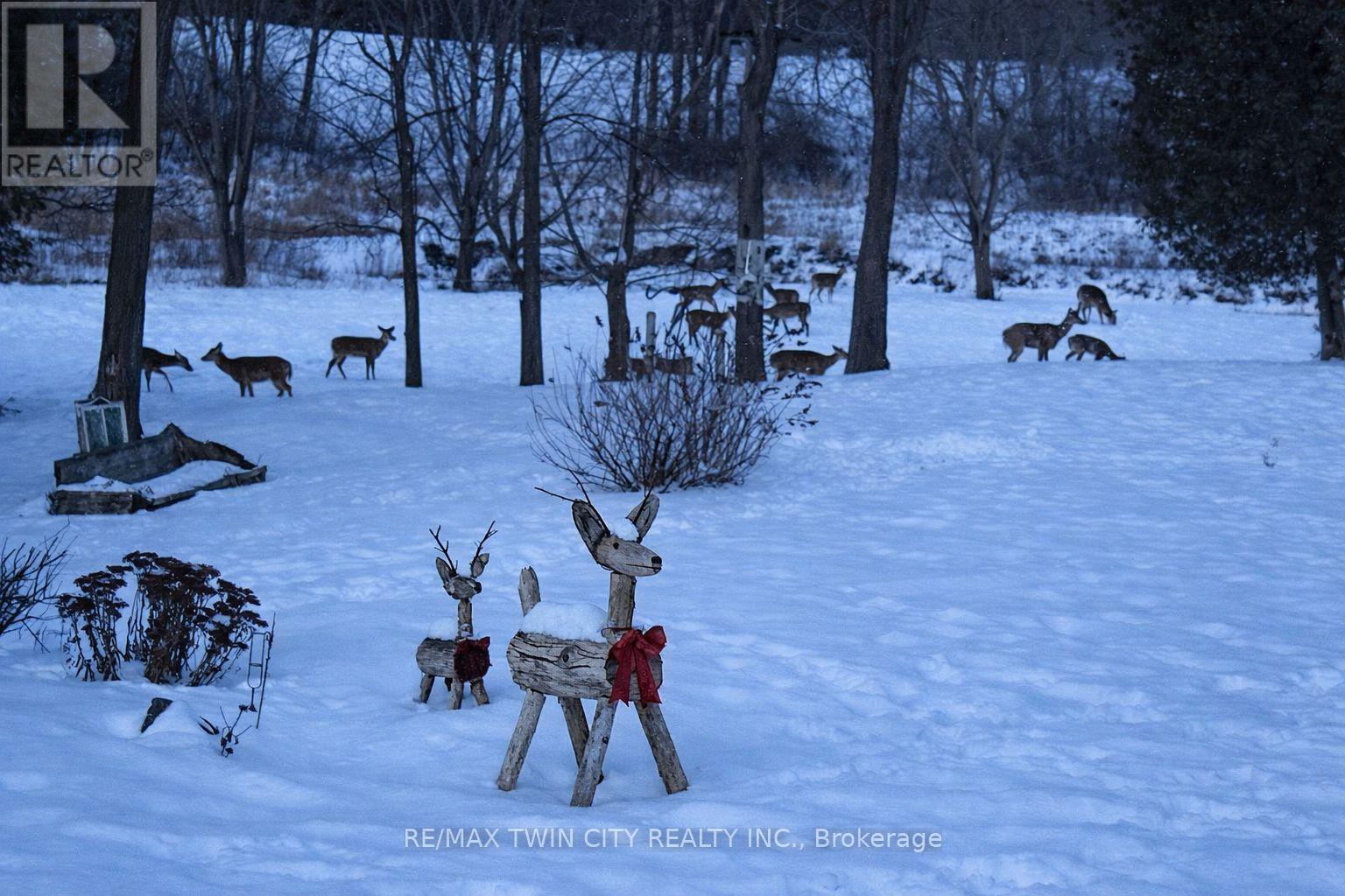 2080 Beaverdale Road, Cambridge, Ontario  N3H 4R7 - Photo 47 - X12813102