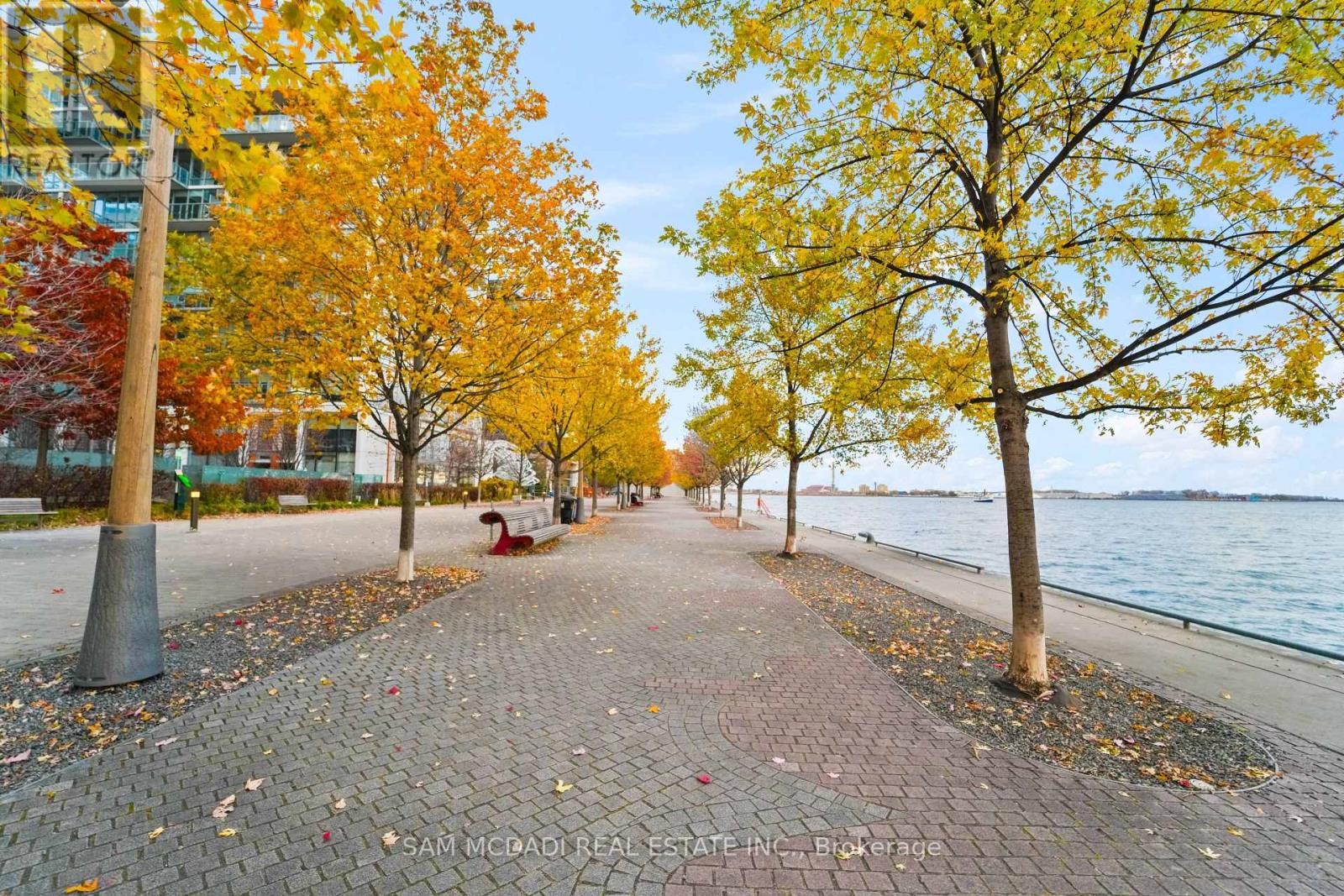 914 - 29 Queens Quay E, Toronto, Ontario  M5E 0A4 - Photo 23 - C12828032