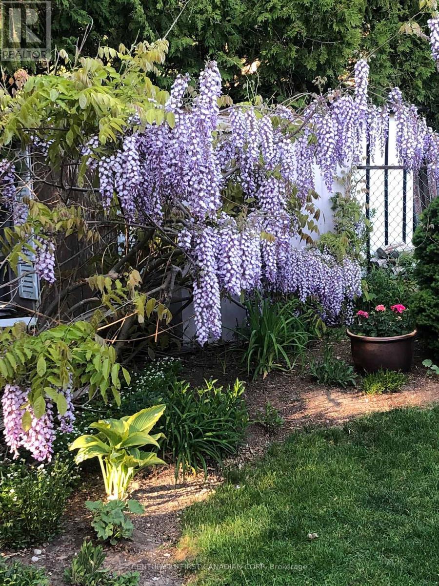 1099 Byron Baseline Road, London South, Ontario  N6K 2C7 - Photo 42 - X12822028