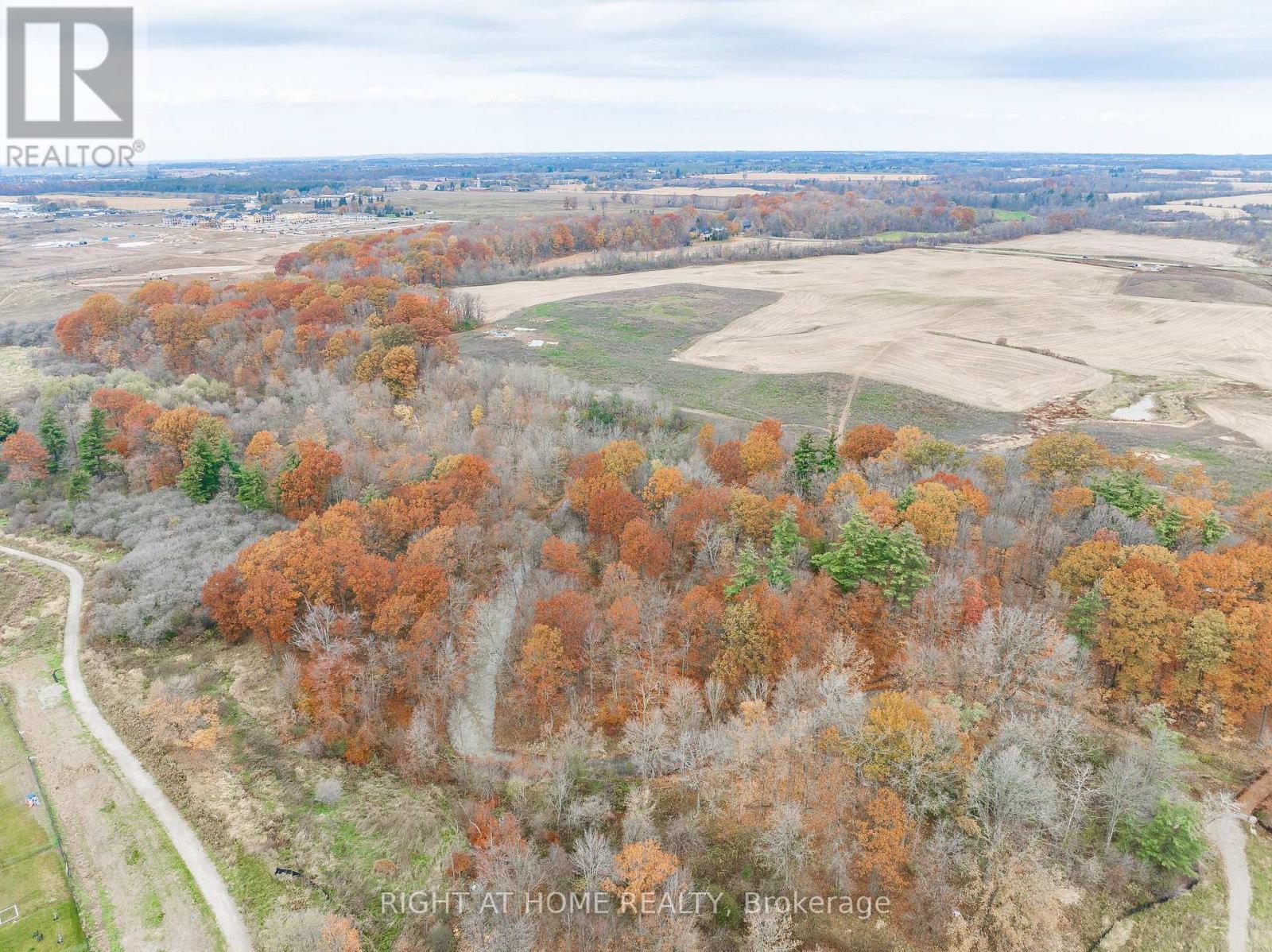 116 Whithorn Crescent, Haldimand, Ontario  N3W 0G4 - Photo 31 - X12828150