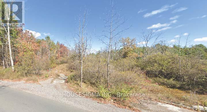 Pt Lt 8 Marble Point Road, Marmora And Lake, Ontario  K0K 2M0 - Photo 5 - X12533200