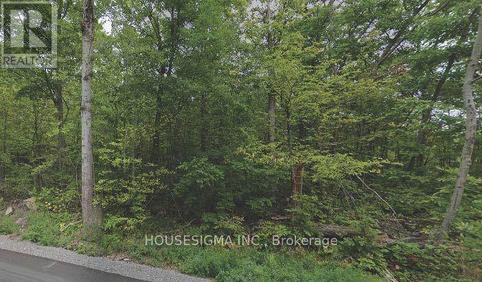 Pt Lt 8 Marble Point Road, Marmora And Lake, Ontario  K0K 2M0 - Photo 2 - X12533206