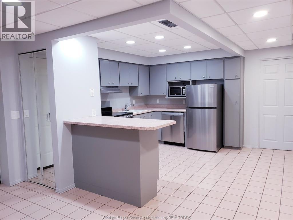 552-554 Pitt Street West, Windsor, Ontario  N9A 5M2 - Photo 9 - 26004184