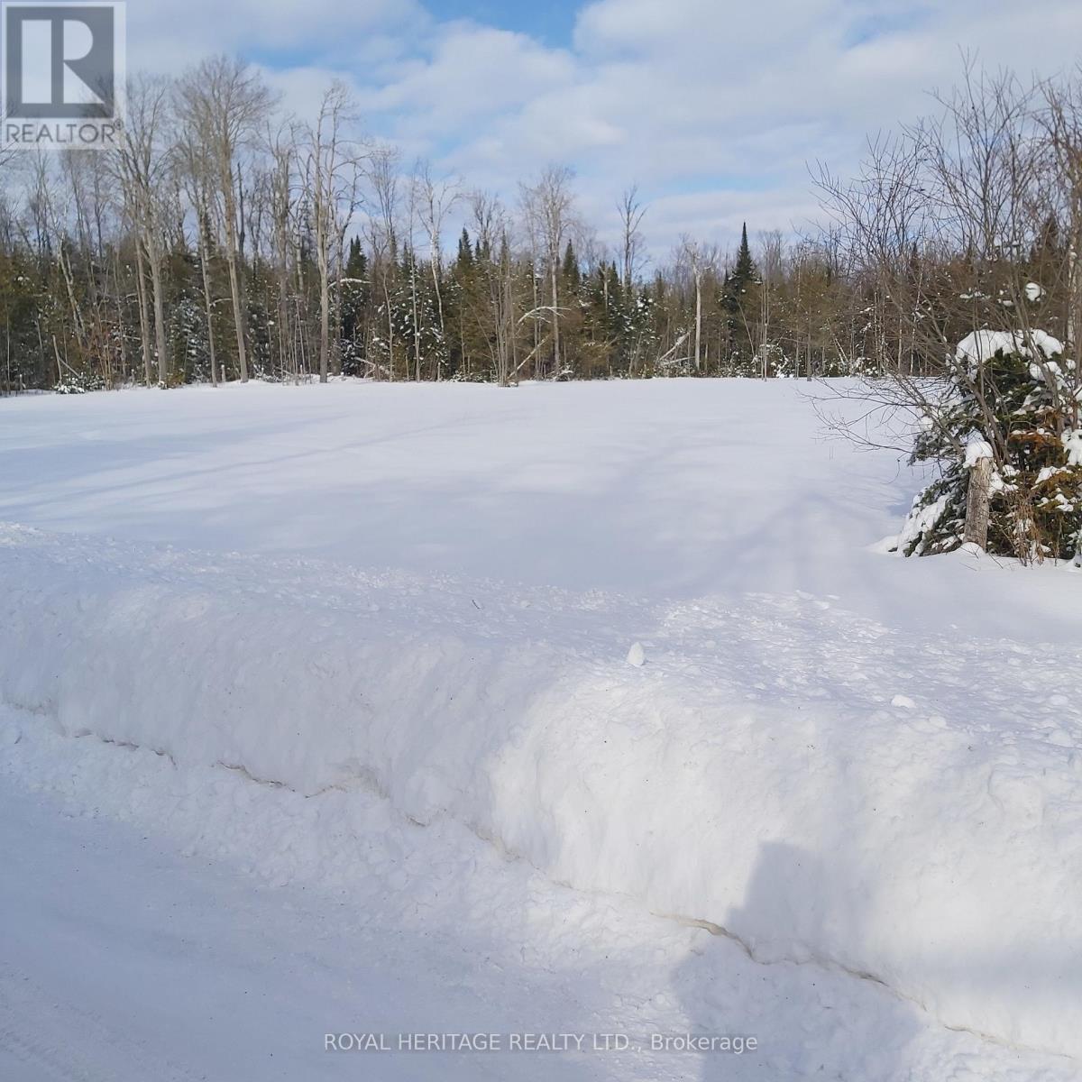 196 Settlement Road, Kawartha Lakes, Ontario  K9V 4R5 - Photo 2 - X12828456