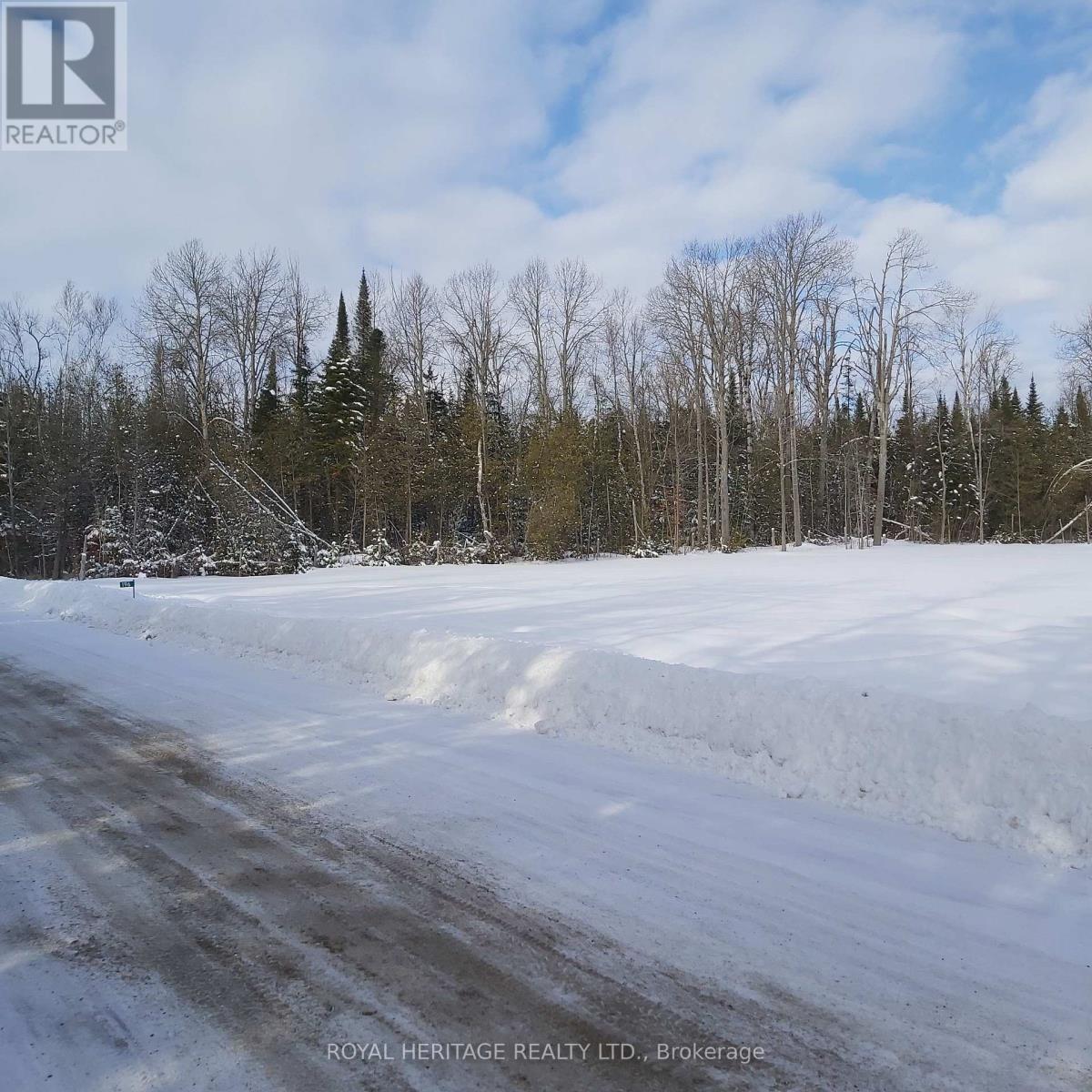 196 Settlement Road, Kawartha Lakes, Ontario  K9V 4R5 - Photo 3 - X12828456