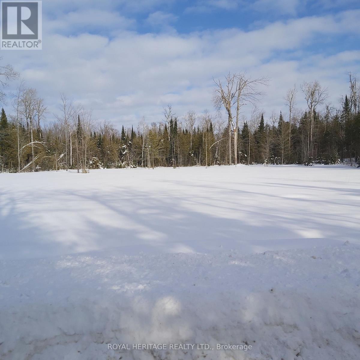 196 Settlement Road, Kawartha Lakes, Ontario  K9V 4R5 - Photo 4 - X12828456