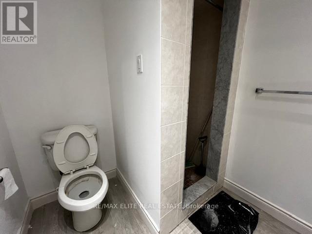 Bsmt - 4246 Sheppard Avenue E, Toronto, Ontario  M1S 1T5 - Photo 4 - E12828134