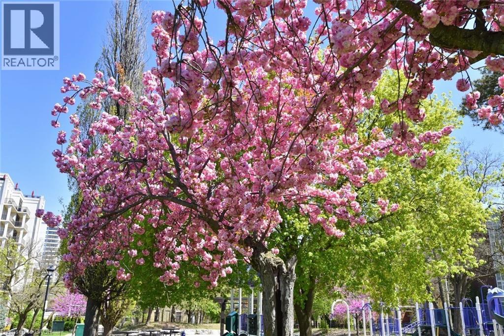 69 Herkimer Street Unit# 202, Hamilton, Ontario  L8P 2G6 - Photo 50 - 40808318