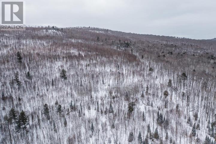 Lorem Ipsum D, Unorganized, Ontario  P0R  - Photo 10 - DEMO29406314