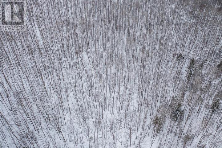 Lorem Ipsum D, Unorganized, Ontario  P0R  - Photo 13 - DEMO29406314