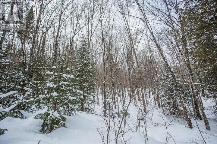 Lorem Ipsum D, Unorganized, Ontario  P0R  - Photo 31 - DEMO29406314